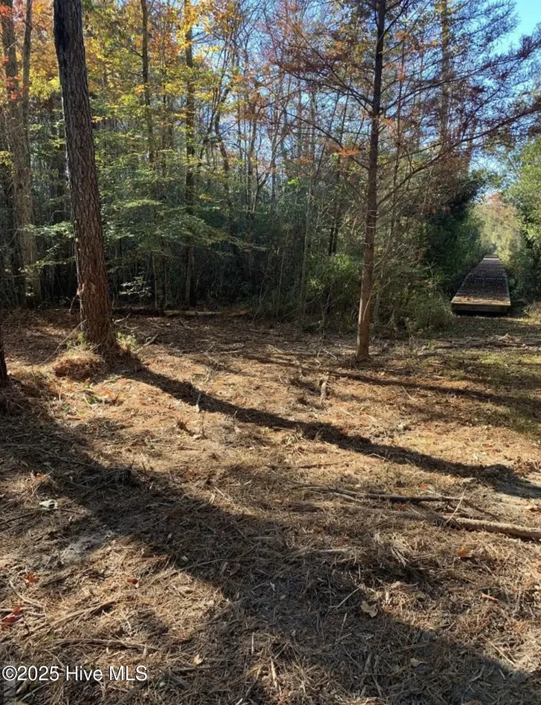 220 Colleton Court Edenton NC 27932
