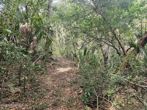 35 Dowitcher Trail Bald Head Island NC 28461