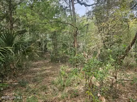 35 Dowitcher Trail Bald Head Island NC 28461