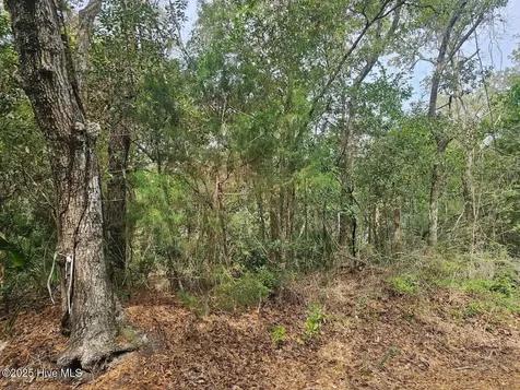 35 Dowitcher Trail Bald Head Island NC 28461
