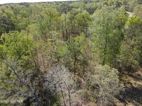 Lot 9 Riversedge Drive Winton NC 27986