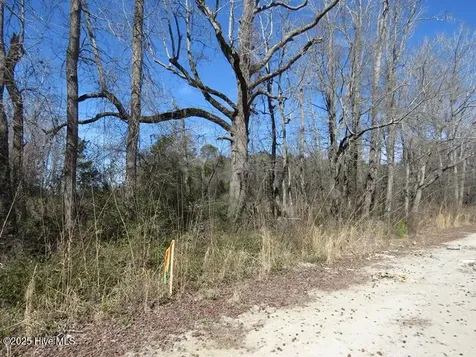 Tbd Kehukee Drive Parkton NC 28371
