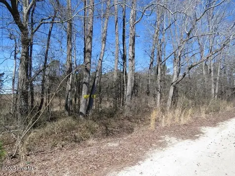 Tbd Kehukee Drive Parkton NC 28371