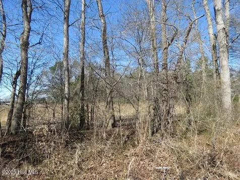 Tbd Kehukee Drive Parkton NC 28371