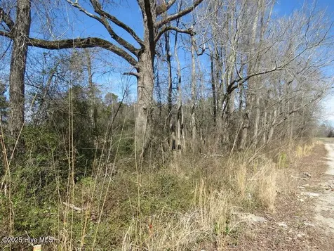 Tbd Kehukee Drive Parkton NC 28371