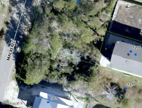 1209 Mackerel Lane Carolina Beach NC 28428