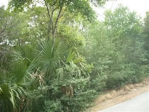 200 Whale Head Way Bald Head Island NC 28461