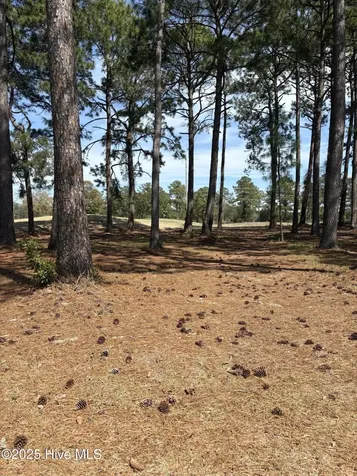 591 Lot 33 Eastwood Park Road Sunset Beach NC 28468