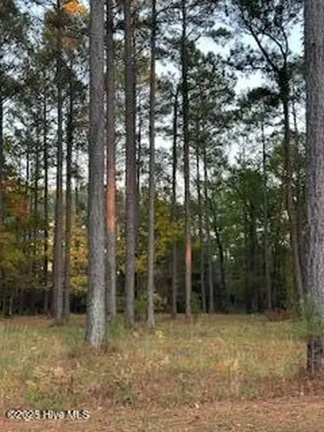 95 Corrolla Loop Road Oriental NC 28571