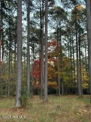 95 Corrolla Loop Road Oriental NC 28571