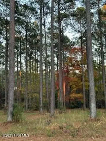 95 Corrolla Loop Road Oriental NC 28571