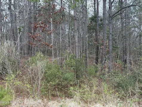 211 Green Trees Drive New Bern NC 28562