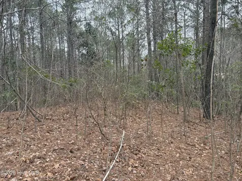 211 Green Trees Drive New Bern NC 28562