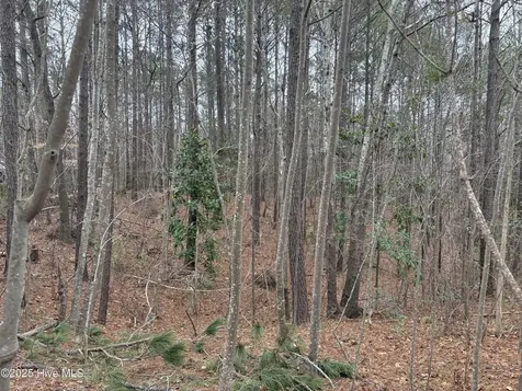 211 Green Trees Drive New Bern NC 28562