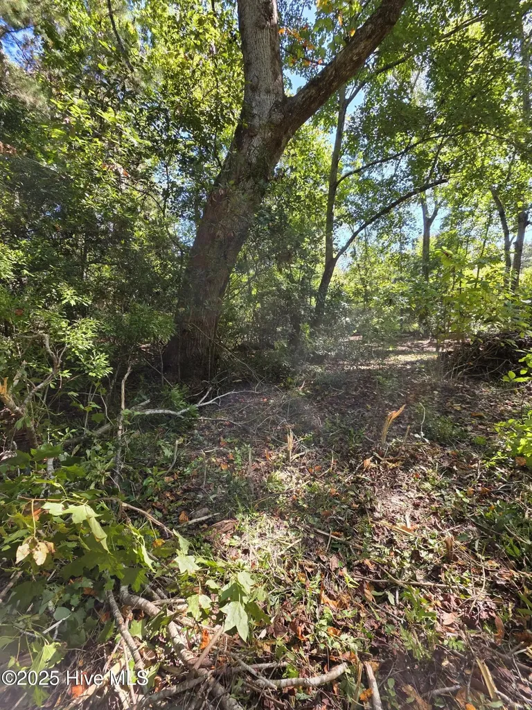 20 West High Bluff Drive Hampstead NC 28443