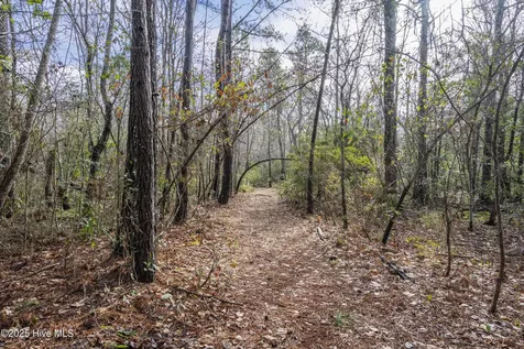 20 West High Bluff Drive Hampstead NC 28443