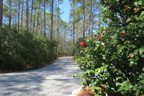 486 Point Of View Drive Merritt NC 28556