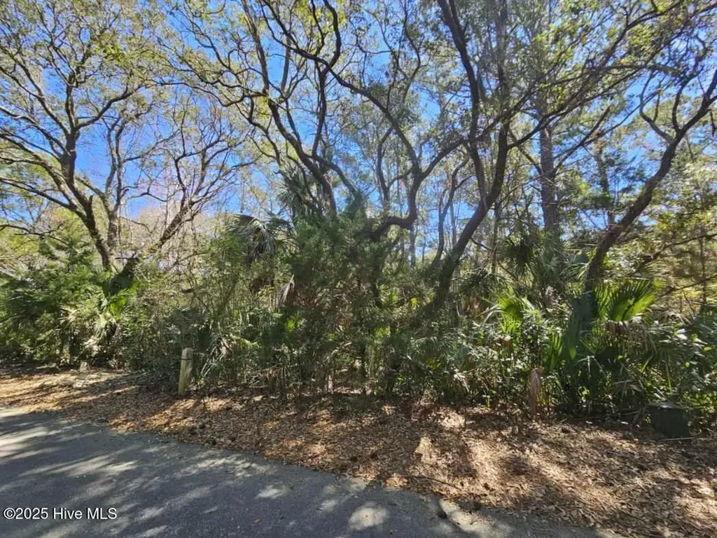 32 Dowitcher Trail Bald Head Island NC 28461