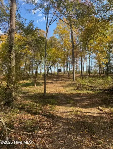 0 River Road White Oak NC 28399
