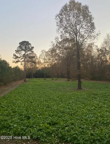 0 River Road White Oak NC 28399