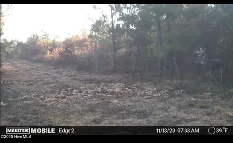 0 River Road White Oak NC 28399