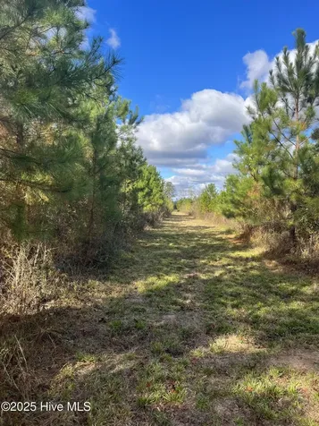 0 River Road White Oak NC 28399