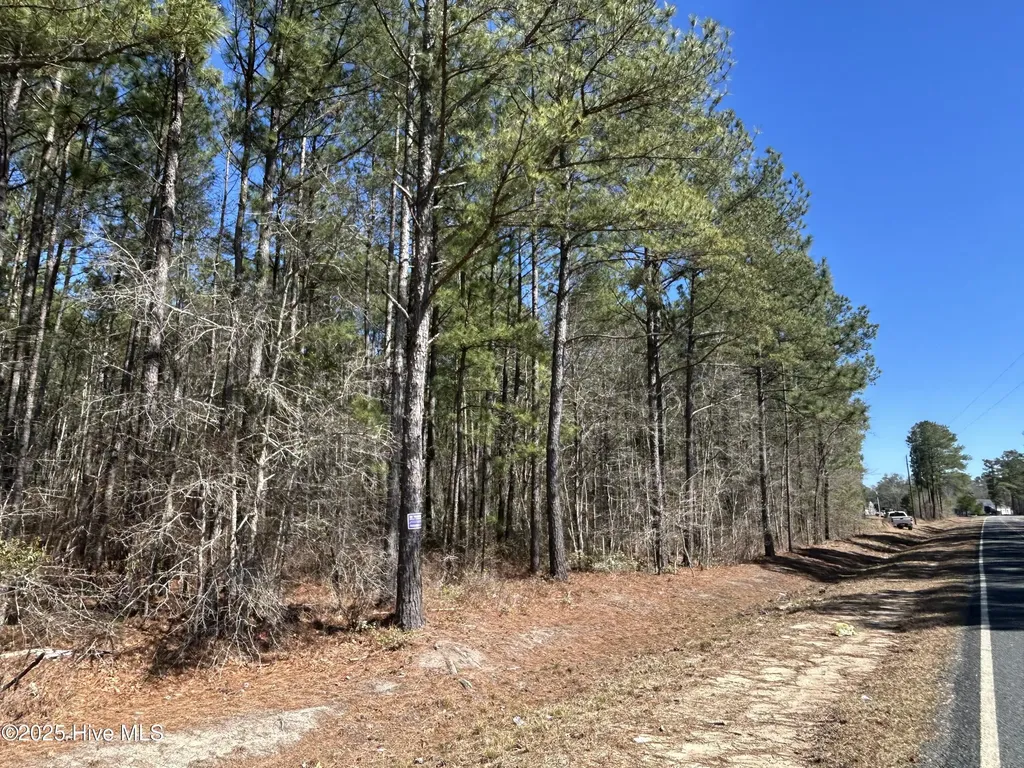 Tbd John Owen Road White Oak NC 28399