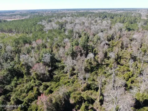 Tbd John Owen Road White Oak NC 28399