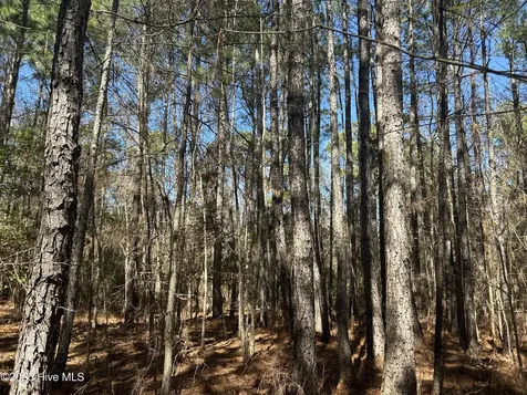 Tbd John Owen Road White Oak NC 28399