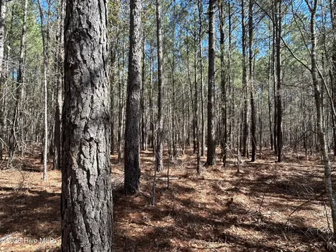 Tbd John Owen Road White Oak NC 28399