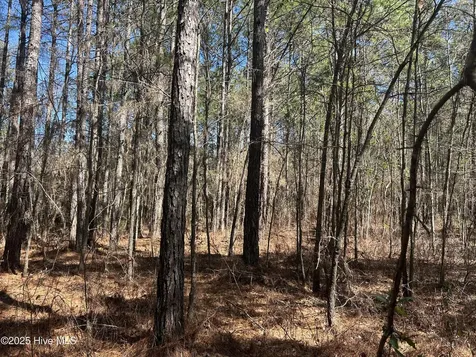 Tbd John Owen Road White Oak NC 28399