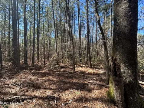 Tbd John Owen Road White Oak NC 28399