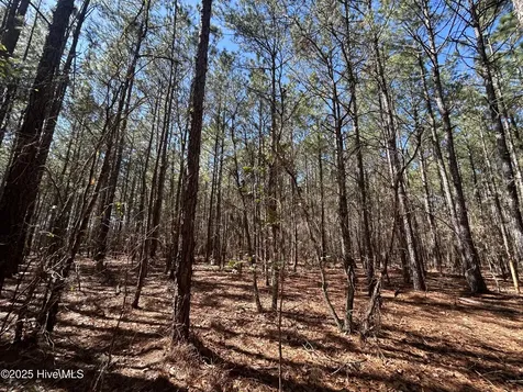 Tbd John Owen Road White Oak NC 28399