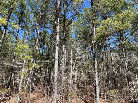 Tbd John Owen Road White Oak NC 28399