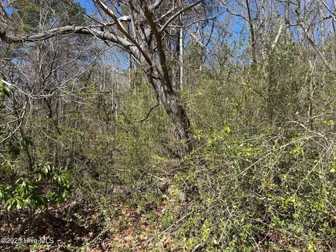 Camden NC 27921