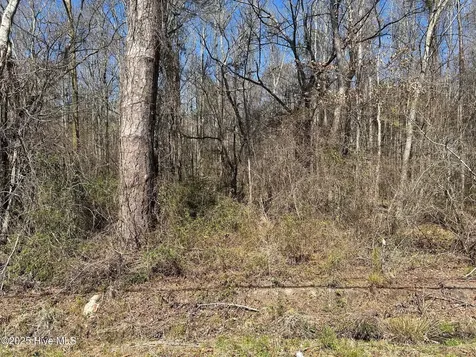 Camden NC 27921