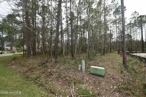 916 Bee Tree Court New Bern NC 28560