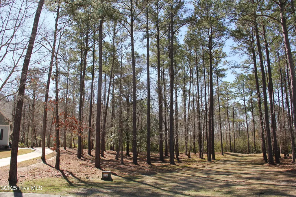 487 Hearthside Drive SE Bolivia NC 28422