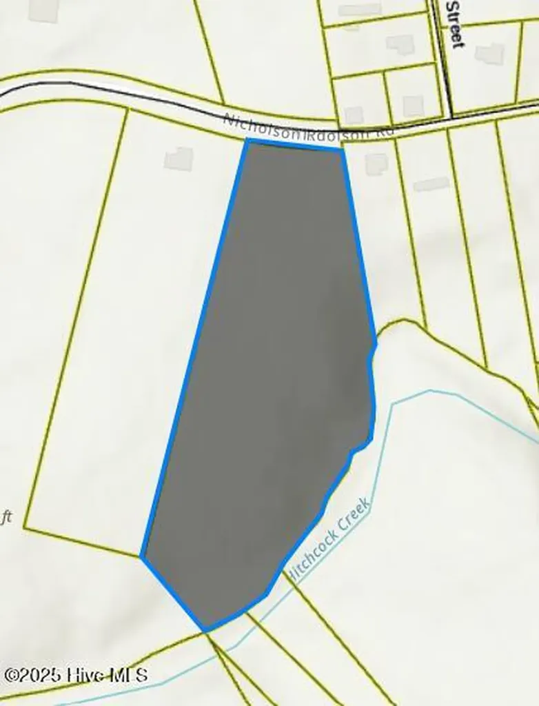 Tbd Nicholson Road Rockingham NC 28379