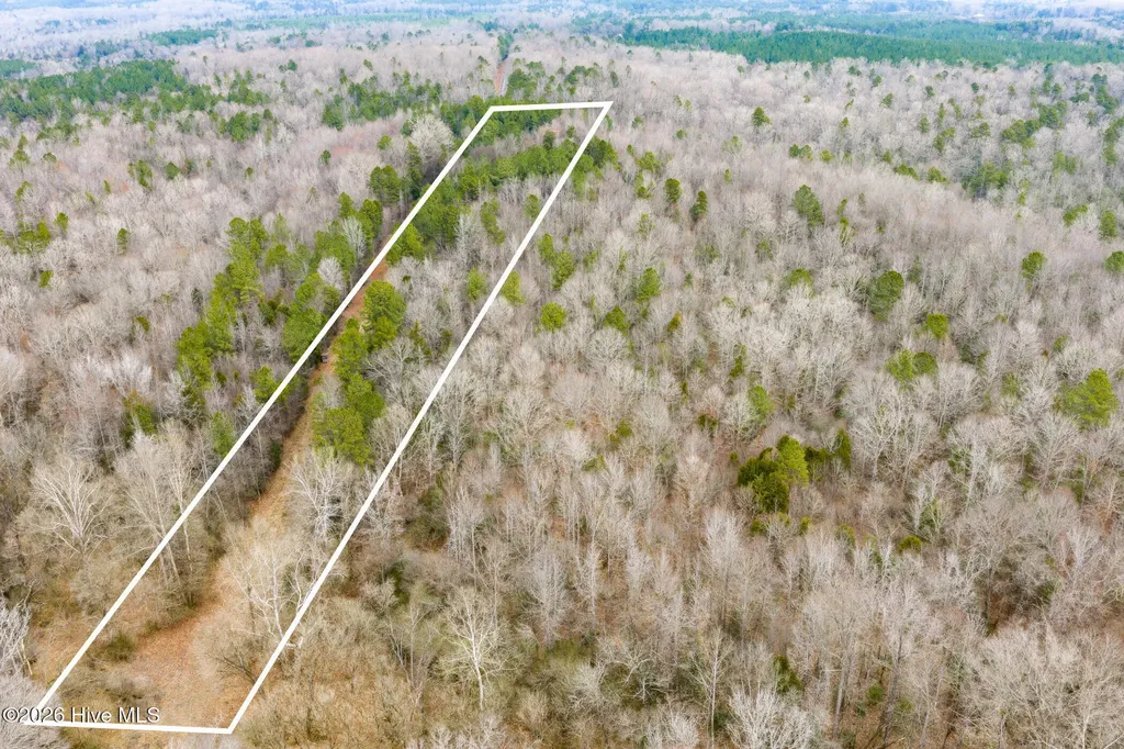 Lot 4 Leaman Road Robbins NC 27325