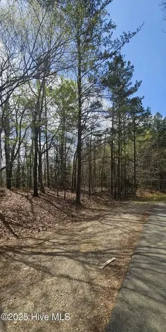 Lot 4 Leaman Road Robbins NC 27325