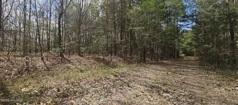 Lot 4 Leaman Road Robbins NC 27325