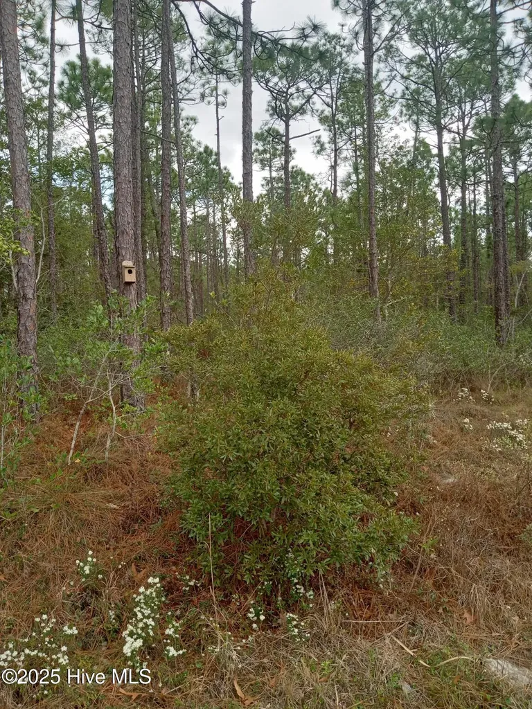 Lot 61 W South Shore Drive Southport NC 28461