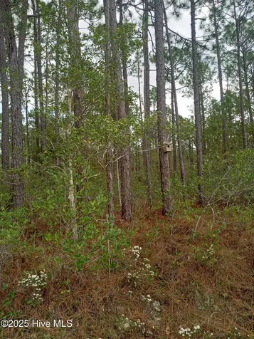 Lot 61 W South Shore Drive Southport NC 28461