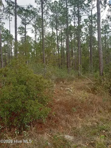 Lot 61 W South Shore Drive Southport NC 28461