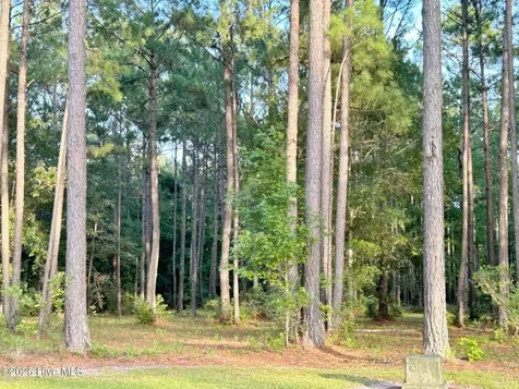 379 Mill Creek Drive Minnesott Beach NC 28510