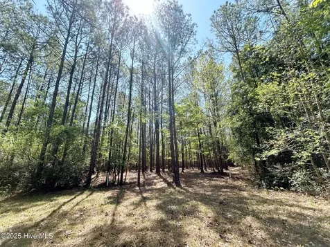 379 Mill Creek Drive Minnesott Beach NC 28510