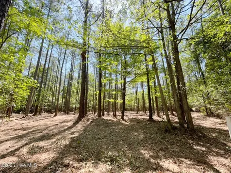 379 Mill Creek Drive Minnesott Beach NC 28510
