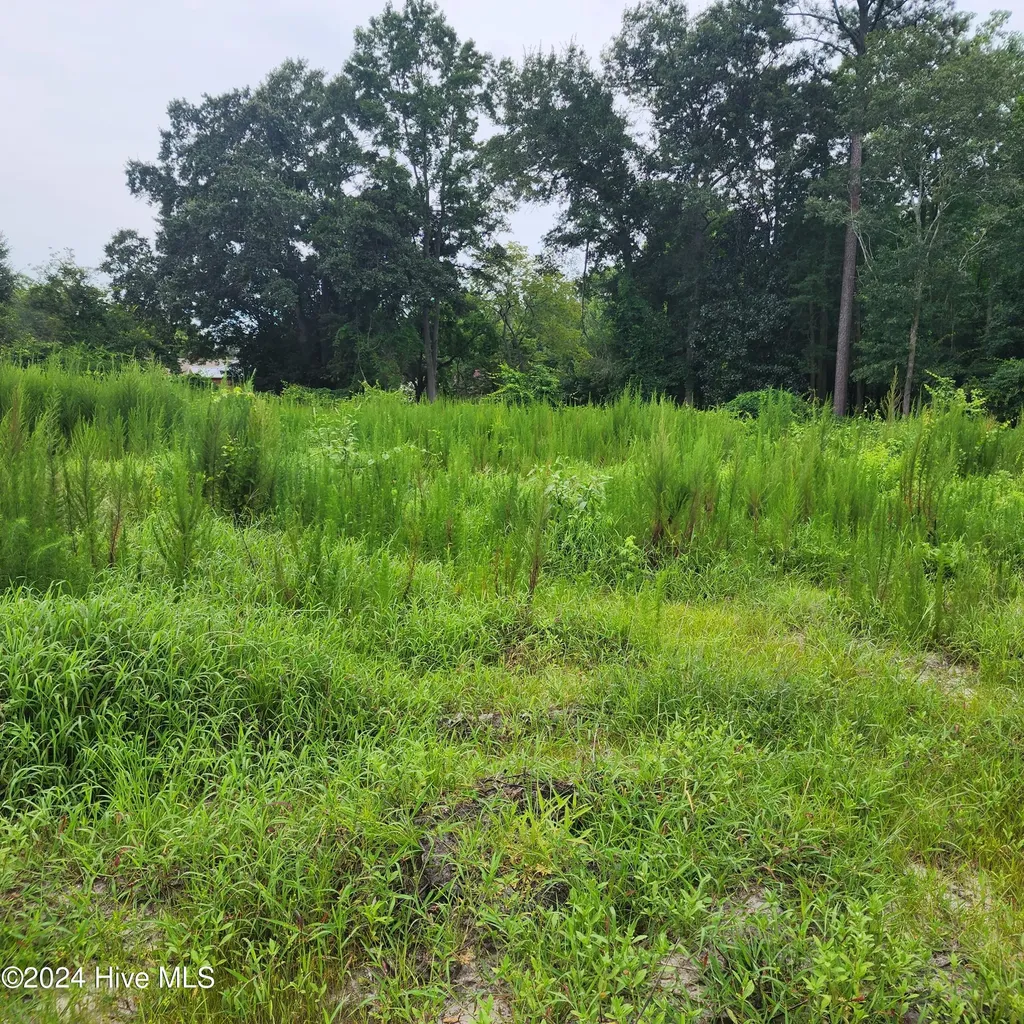 E1107 Eleven Farms Road Salemburg NC 28385