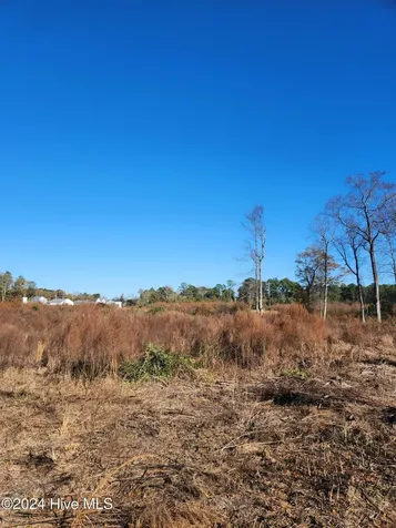 E1107 Eleven Farms Road Salemburg NC 28385